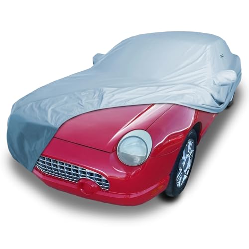 Custom Fit [2002 (Sky Gray / 48. Ford Thunderbird 2002-2005)