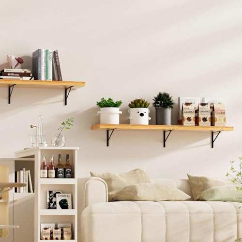 20 Pack L12 x H 8" Black Heavy Duty Shelf Brackets with Screws Metal Shelf Brackets Shelf Support Angle Brackets for Shelves L Brackets Heavy Duty Floating Shelf (20 Pack-Black / 12''x8'')