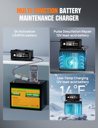 12V 24V 20A Smart Battery Charger for Lead