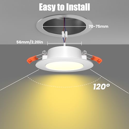 2 Pack RV Recessed LED Ceiling Lights 12V 3” (3000K 2-Pack)