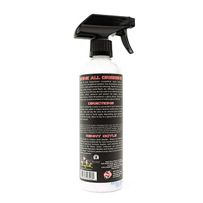P&S Professional Detail Products Shine All Performance Dressing (16 Fl Oz (Pack of 1))