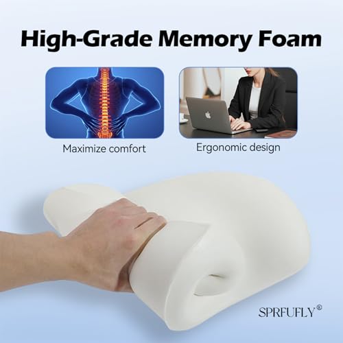 Really Supportive Lumbar Support Pillow for Car (Backsaver-six)
