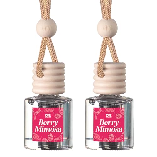 CANDECraftCo 2 Pack Hanging Car Air Freshener Diffuser for Essential Oils
