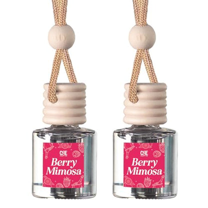 CANDECraftCo 2 Pack Hanging Car Air Freshener Diffuser for Essential Oils