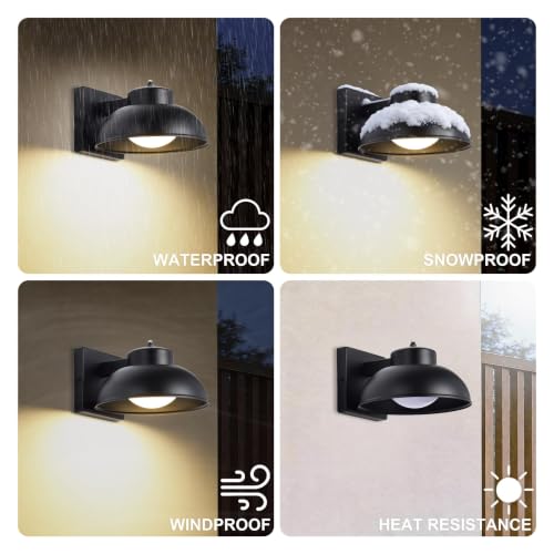 Black Exterior Light Fixtures (Black)