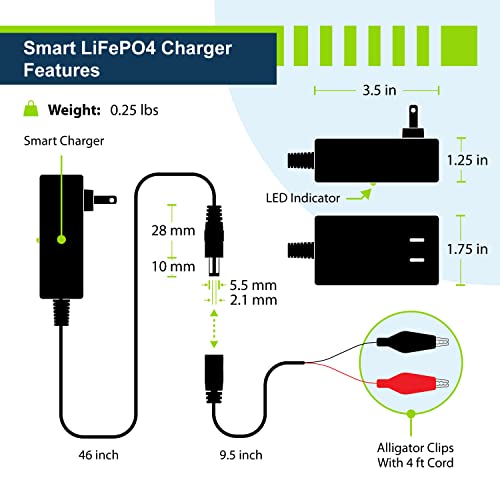 12V 1A Smart Charger for Lithium LiFePO4 Deep Cycle Rechargeable Batteries (1 Amp)