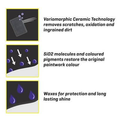 Color Fast 3 in (Purple / 17 fl oz (Pack of 1))