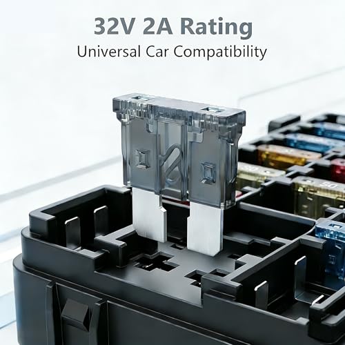 80Pcs) 25Amp Standard Fuse, 25A Car Blade Fuses for Car/RV/Truck/SUV/Motorcycle/Boat (25A)