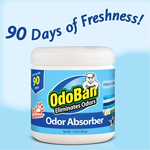 Solid Odor Absorber Eliminator for Home and Small Spaces (14 Ounce (Pack of 6))