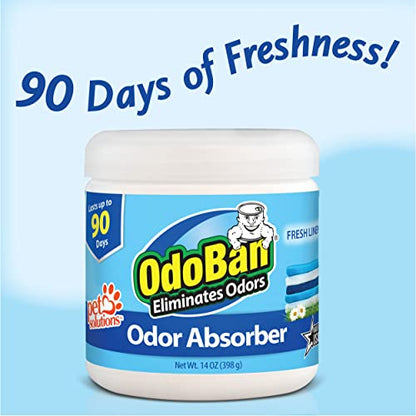 Solid Odor Absorber Eliminator for Home and Small Spaces (14 Ounce (Pack of 6))