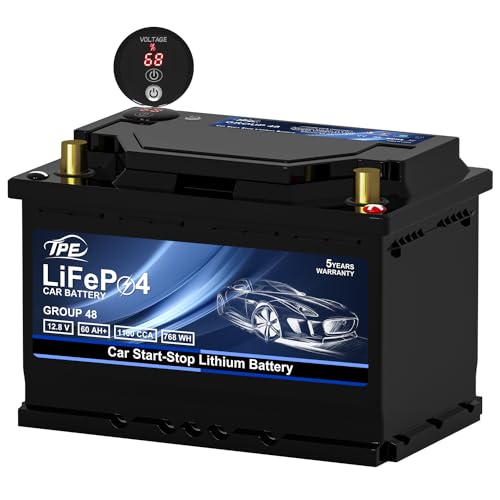Group48 LiFePO4 Lithium (BCI-G48)