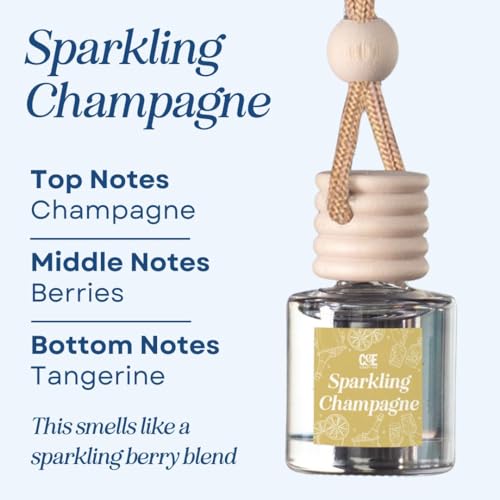 CANDECraftCo 2 Pack Hanging Car Air Freshener Diffuser for Essential Oils