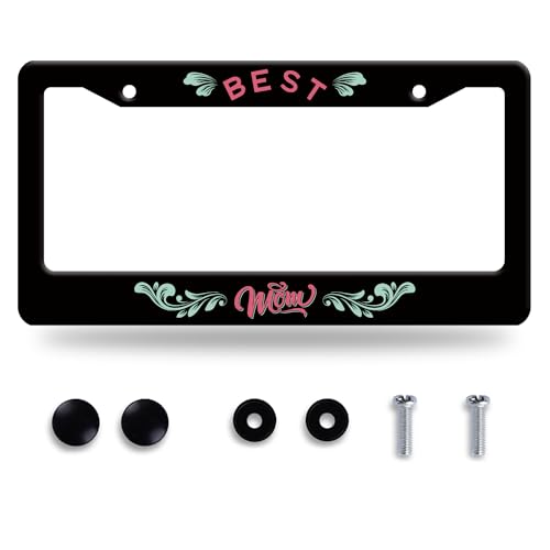 Best Mom Stainless Steel License Plate Frame for US Cars Decor (Best mom)