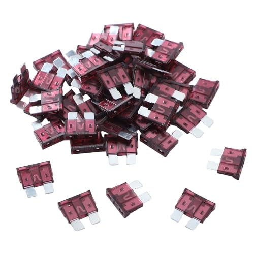 100 Pack Auto Fuses 40 AMP ATC (40 AMP)