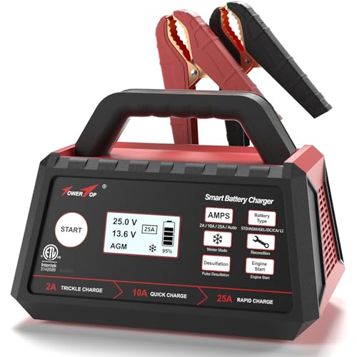 2/10/25 Amp 12V Smart Car Battery Charger, Fully Automatic Battery Maintainer with Engine Start, Auto Desulfator, Battery Repair, Winter Mode, for AGM, STD, Gel, Deep Cycle Batteries (25A)