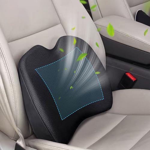 Super Soft Lumbar Support Pillow for Car (Backsaver-one)