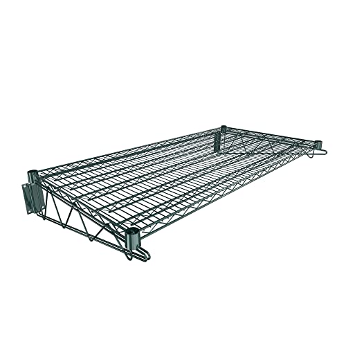 24" x 48" Green Epoxy Wire Wall Mount Shelf (Green / 24" x 48")
