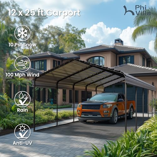 12x25ft Carport (Gray / 12x25ft)