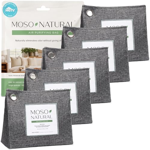 Air Purifying Bag 600g (600 g (Pack of 5))