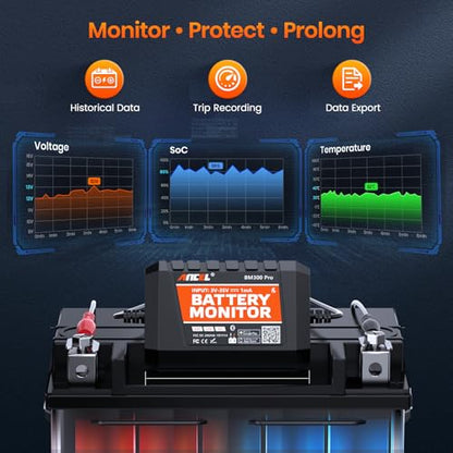 BM300 Pro Battery Monitor (Orange)