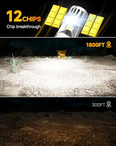 H13 9008 Light Bulb (9008)