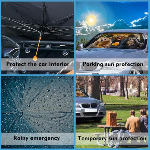 Funny Bear Car Windshield Sun Shade Umbrella Foldable Car Foldable Umbrella Sunshade for Front Window Block UV Rays Car Accessories Auto Windshield Sun Shades Cover (One Size / Funny Bear)