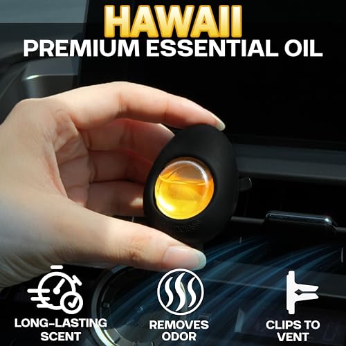 Car Air Freshener Vent Clip 3 Ct (3 Count (Pack of 1))