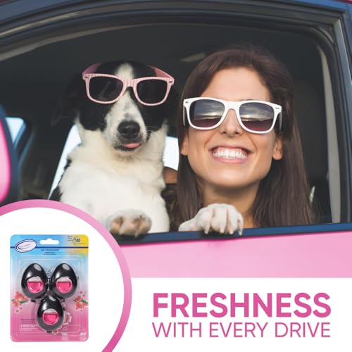 Car Air Freshener Vent Clip 3 Ct (3 Count (Pack of 1))