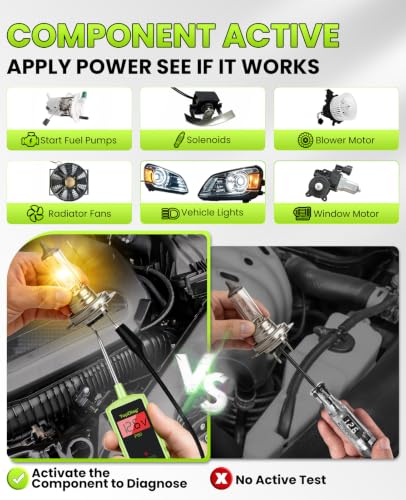 12V Test Light Automotive (P60)