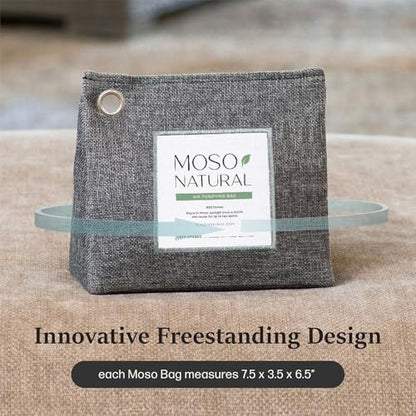 Air Purifying Bag 600g (600 g (Pack of 3))