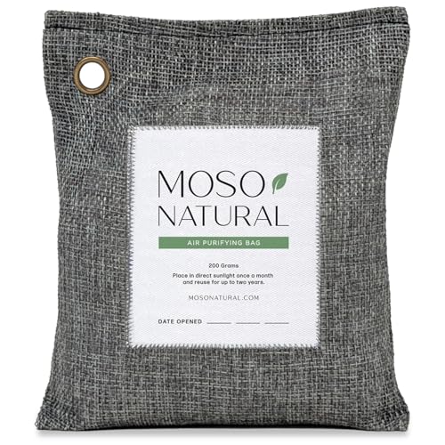 Air Purifying Bag 200g (200g (1 Pack))