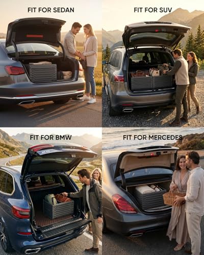 Cargo Organizer (Highway 17+21)