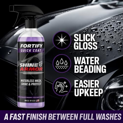 Ceramic Coating Spray (16 Fl Oz (Pack of 1))
