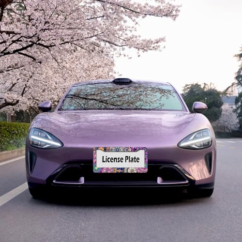 Mandala License Plate Frame Cute Floral Purple License Plate Holder Boho Flower Car Tag Holder Frame Metal Aluminum Rustproof Car Accessories for Women with 2 Holes and Screws 12.2 x 6.3 Inches (Mandala Pattern)