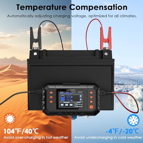 280W Smart Battery Charger (20-amp)