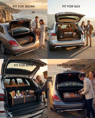 Cargo Organizer (Hexy 17+21)