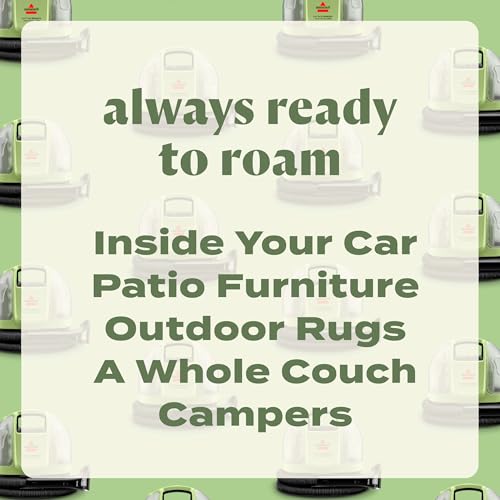 Little Green Mini Cordless Portable Carpet Cleaner (Little Green Mini Cordless)