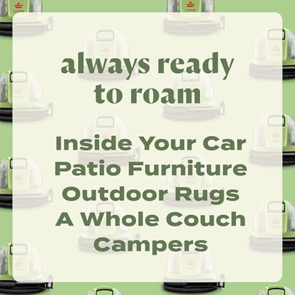 Little Green Mini Cordless Portable Carpet Cleaner (Little Green Mini Cordless)