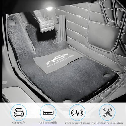 Car Interior LED Lights (White)