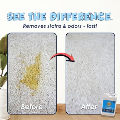 Pet Stain & Odor Remover (1 Gallon)