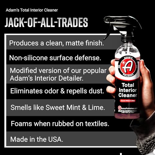 Total Interior Cleaner & Protectant (16 Fl Oz (Pack of 1) / Sweet Mint & Lime)