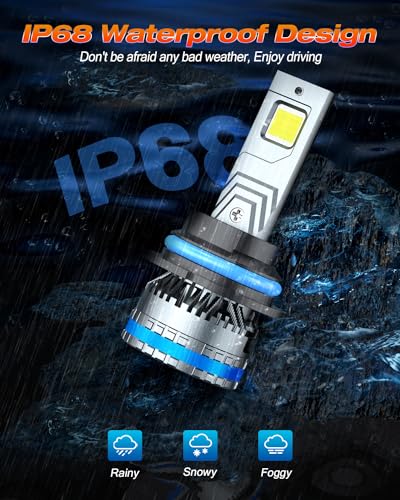9004 HB1 Light Bulbs (9004/HB1)