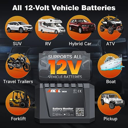BM300 12V Battery Monitor (Black)