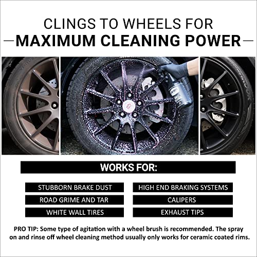 Wheel Cleaner (18 oz)