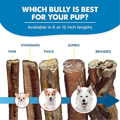 12 Inch Bully Sticks for Dogs (50 Count (Pack of 1))