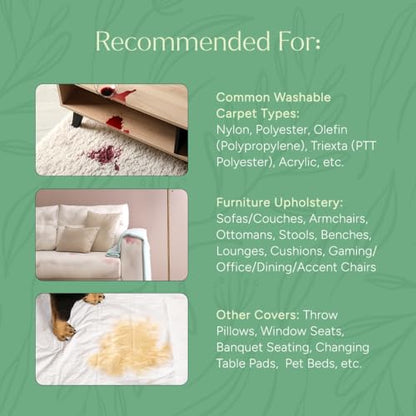 Carpet Cleaner Solution