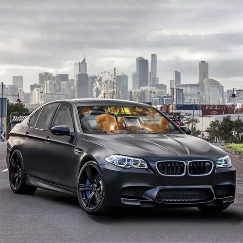 Squirrel Car Windshield Sunshade Umbrella Cute Sun Shade Umbrella for Car Foldable Windshield Umbrella Block UV Rays Heat Keep Vehicle Cool for Cars SUV 57"x30" (Squirrel)