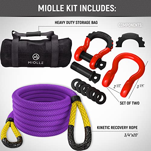 Gear Kinetic Recovery Tow Ropes for Any Recovery Situation (3/4x20 / Purple/Yellow)