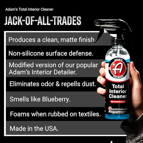 Total Interior Cleaner & Protectant (16 Fl Oz (Pack of 1) / Maine Blueberry)