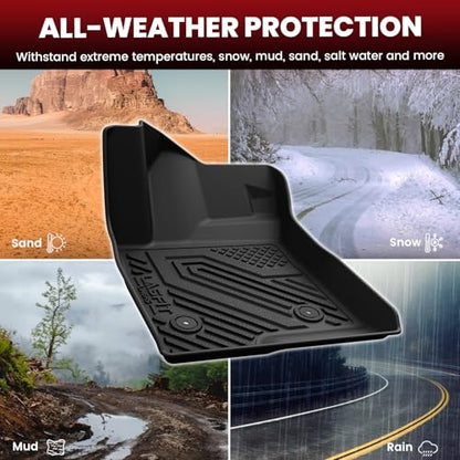 Full Set Floor Mats for 2024
